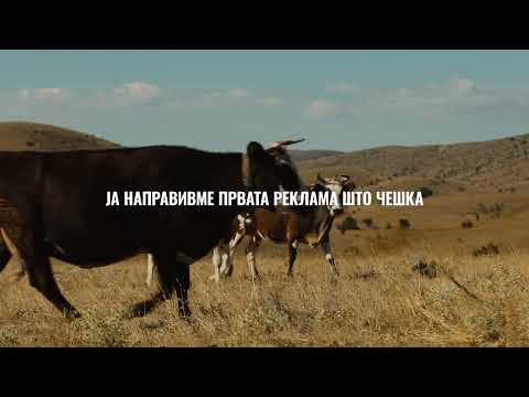 The Scratching Ads - Bilbord