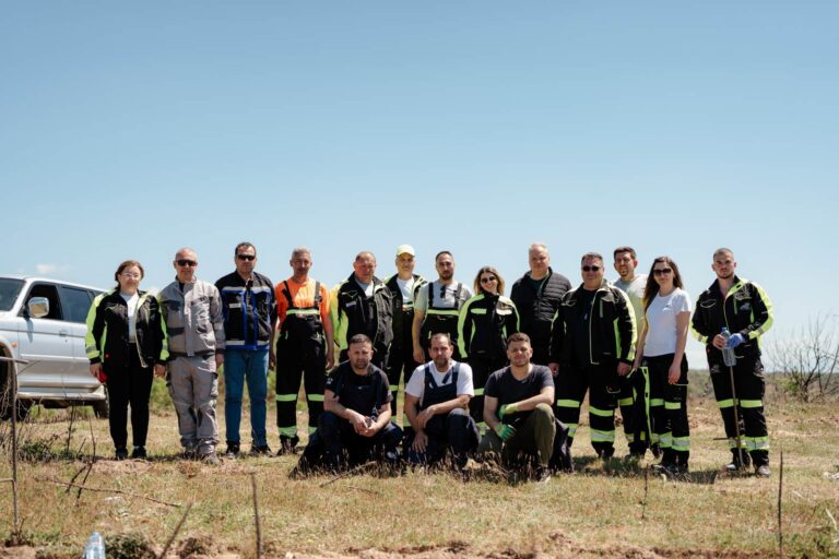 5000 САДНИЦИ НА ГОТЕН