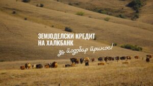 ПРВА РЕКЛАМА ВО СВЕТОТ ШТО ЧЕШКА