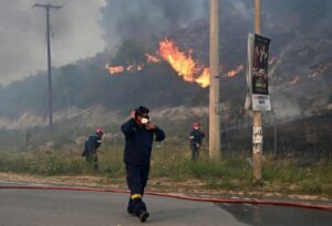Значително подобрена ситуацијата со пожарот во Сивири – изгорени 350 хектари површина