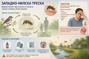 Вирусот Западен Нил се шири низ Европа, најмногу случаи во Италија и Грција